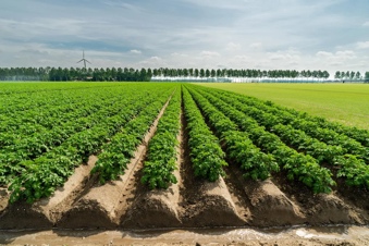Voorbeeldfoto van omgevingsfotografie: een sfeervolle foto van de omgeving die het verhaal ondersteunt
